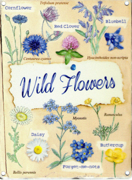 wild-flowers-pictures-including-titles-daisy-buttercup-etc-for-house-home-bathroom-allotment-shed-garden-kitchen-or-shop-metal-steel-wall-sign