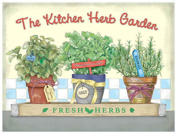 The kitchen herb garden. Fresh herbs. 3 plant drawing.  Fridge Magnet