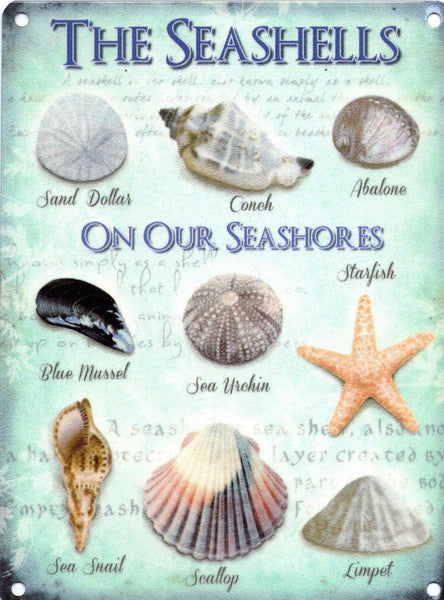 the-seashells-on-our-seashores-sand-dollar-conch-abalone-mussel-starfish-snail-scallop-and-limpet-old-vintage-for-kitchen-bathroom-home-restaurant-or-pub-metal-steel-wall-sign