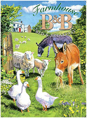 Farmhouse B&B, Bed and breakfast, donkey, farm animals. Moors. Fridge Magnet