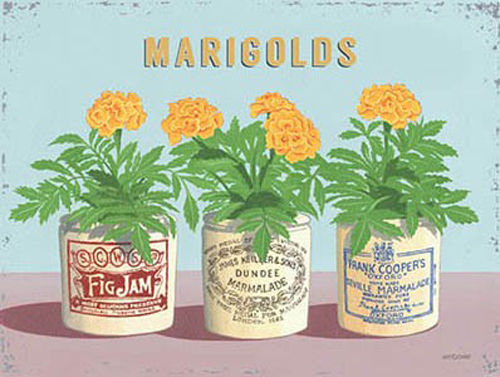 Marigolds Vintage Flower Pots Home Garden Kitchen Bathroom Metal/Steel Wall Sign