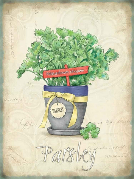 parsley-herbs-food-drink-garden-home-kitchen-cooking-metal-steel-wall-sign