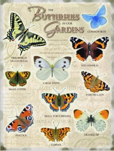 butterflies-in-our-gardens-including-common-blue-large-white-red-admiral-painted-lady-kitchen-shed-cafe-garden-centre-allotment-green-house-metal-steel-wall-sign