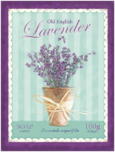 old-english-lavender-lavandula-purple-plant-potted-plant-smell-scented-wild-flower-used-in-oils-metal-steel-wall-sign