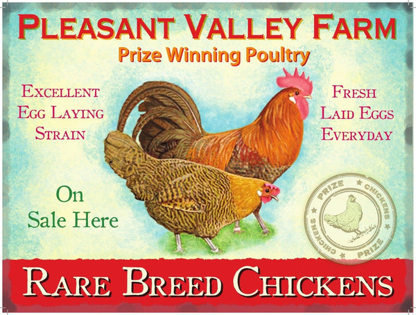 Pleasant Valley Farm, Rare Breed Chickens. Fresh Metal/Steel Wall Sign