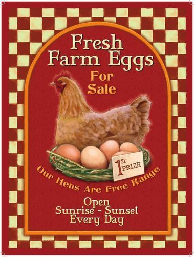 Fresh Farm Eggs. Hen & nest of eggs, Healthy breakfast,    Metal/Steel Wall Sign