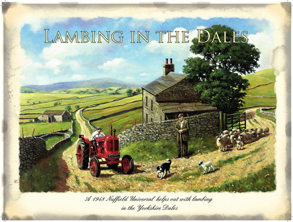 Lambing in the Dales, Yorkshire Farming, Sheep Dog Small Metal/Steel Wall Sign