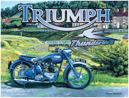 triumph-thunderbird-motor-bike-cycle-british-classic-in-a-countryside-settings-for-house-home-garage-bar-or-pub-metal-steel-wall-sign