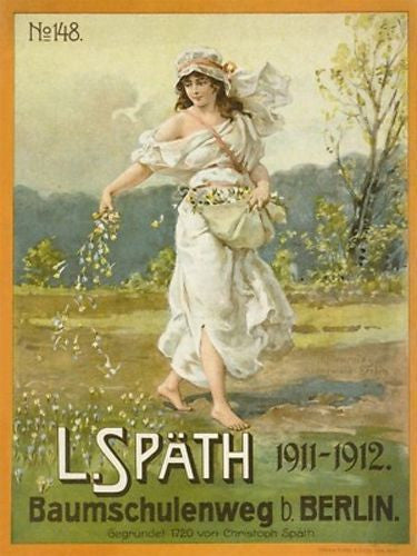 cover-of-the-1911-1912-spath-nursery-catalogue-no-148-founded-in-1720-by-christoph-spath-the-nursery-relocated-in-1869-when-franz-ludwig-spath-1839-1913-became-manager-metal-steel-wall-sign