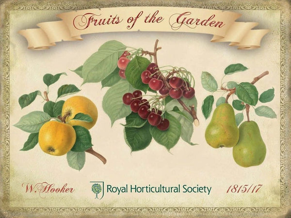 fruits-of-the-garden-royal-horticultural-society-apples-cherry-pears-cherries-metal-steel-wall-sign