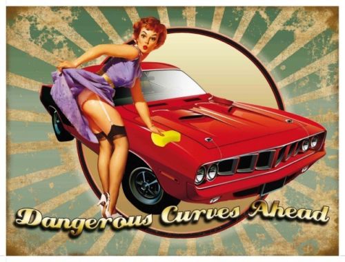 Dangerous Curves Ahead, sexy pin up, 50's design  Metal/Steel Wall Sign