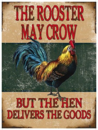 The rooster may crow but the hen delivers the  Metal/Steel Wall Sign