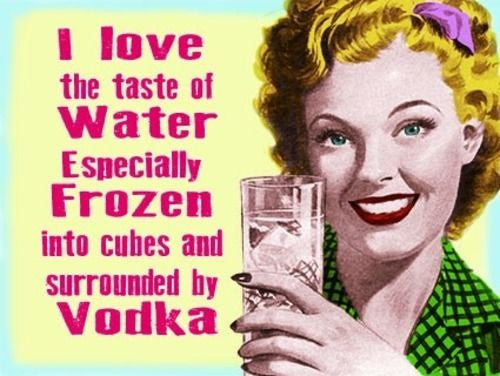 i-love-the-taste-of-water-especially-frozen-into-cubes-and-surrounded-by-vodka-food-and-drink-funny-humour-old-retro-vintage-in-design-metal-steel-wall-sign