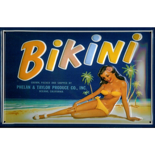 bikini-retro-crate-art-pinup-girl-beach-old-advert-3d-metal-steel-wall-sign